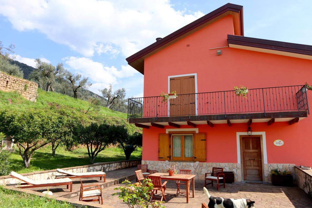 B&B La Casa Del Sole Controne 외부 사진
